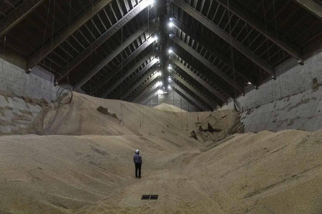 皇冠信用网代理登3_“中国罕见提出大规模采购意向”