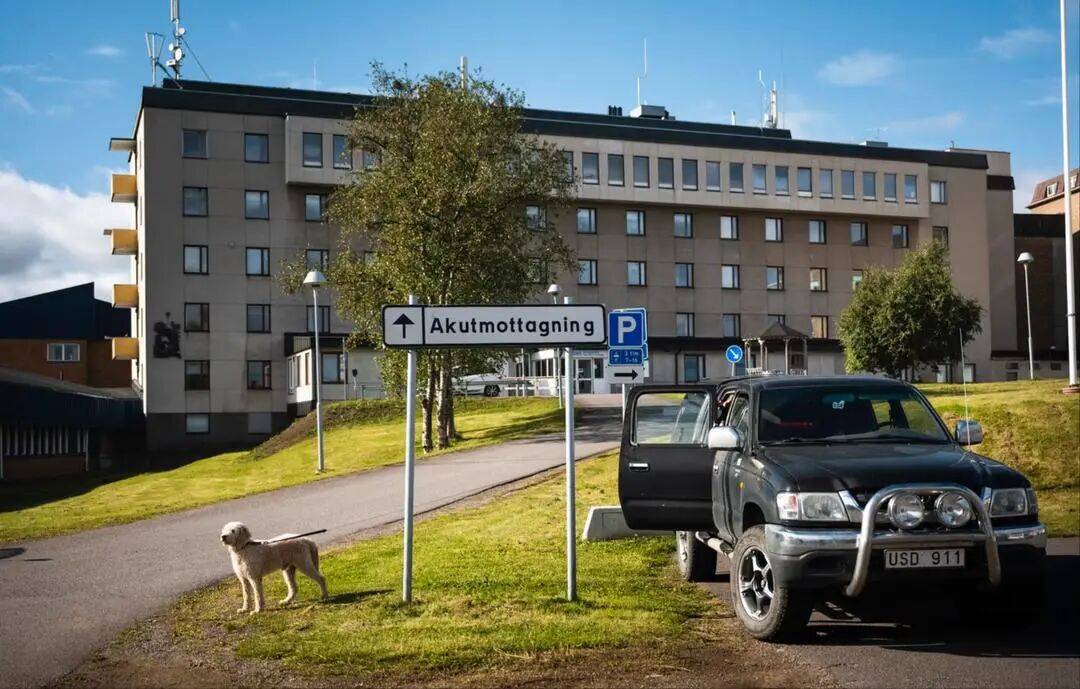 AlK法兰地Vs天狼星_中国旅行团8人在瑞典采野生蘑菇中毒AlK法兰地Vs天狼星，医院尚未确定误食的具体蘑菇种类