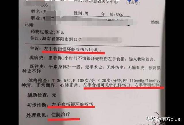 皇冠信用網会员注册网址_湖南邵阳一男子直播挖蛇被咬皇冠信用網会员注册网址，去医院后却自行离开至今下落不明