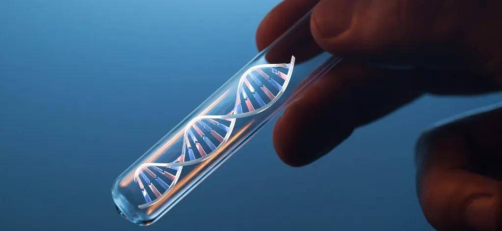 皇冠会员如何申请_医生偷用自己的精子“助孕”皇冠会员如何申请，死后查出12个子女