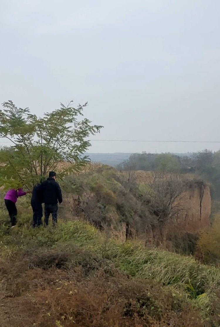 皇冠信用网登2代理_陕西咸阳一男子打晕妻子误以为已死皇冠信用网登2代理，将人扔下土崖致其死亡被公诉