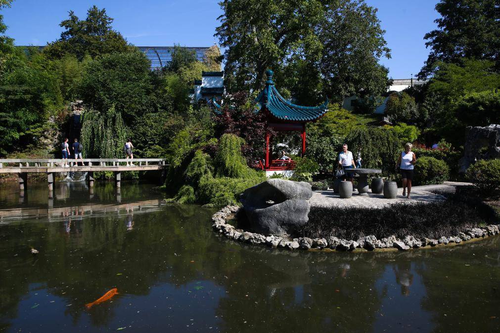 如何代理皇冠信用网_旅比大熊猫“守护者”埃里克·董博：打开感知中国之门