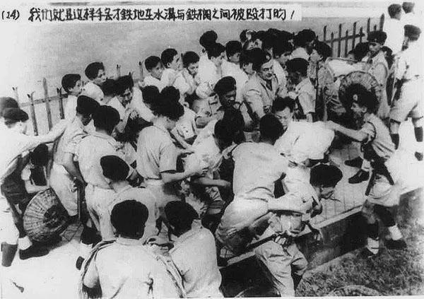 皇冠信用网登2_马来西亚华人被排挤但中文流利皇冠信用网登2,新加坡华人为何却主动抛弃中文?