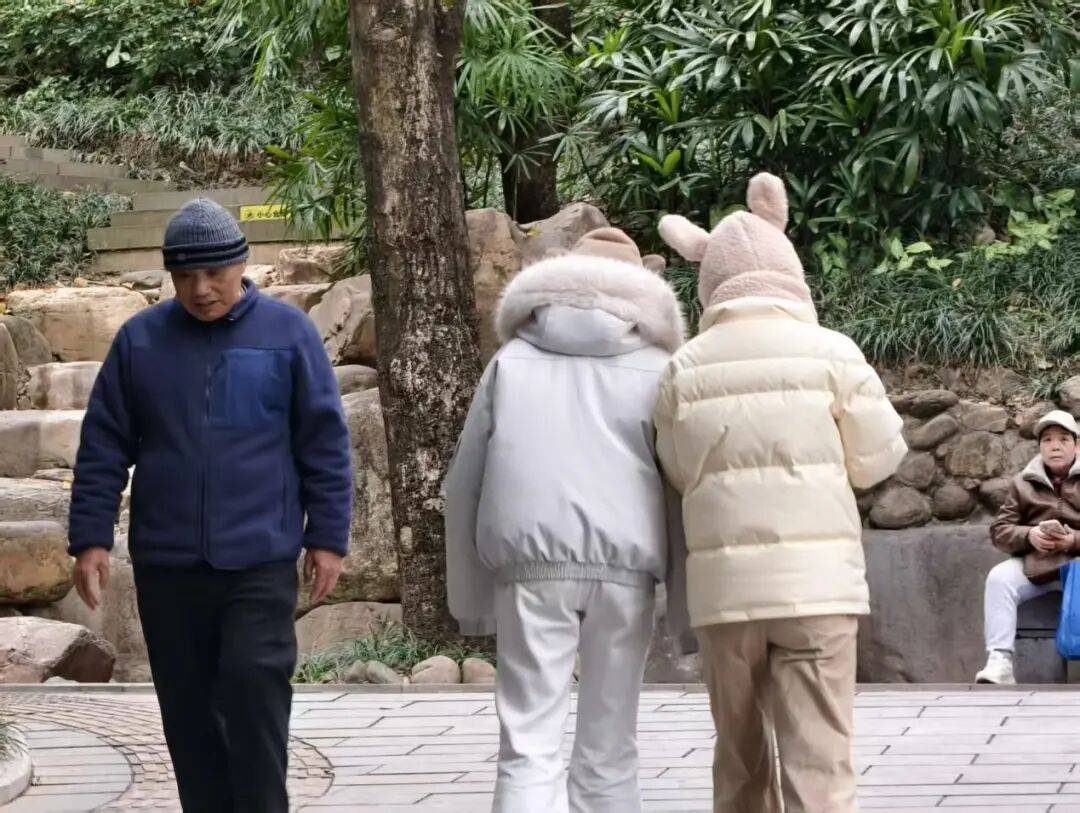 体育皇冠信用网_直冲20℃+！南宁“火箭式”升温体育皇冠信用网，“回南天”在路上了